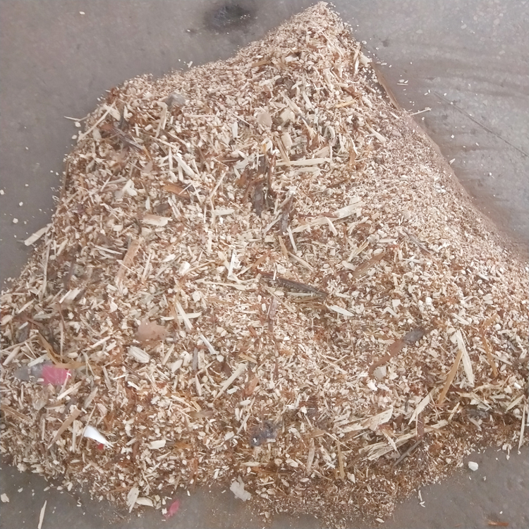 1616920031779589.jpg 1616920031779589.jpg