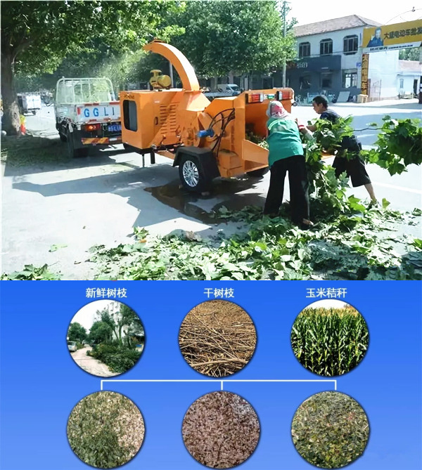 1618326451389017.jpg 1-1Q21Z24H0524.jpg